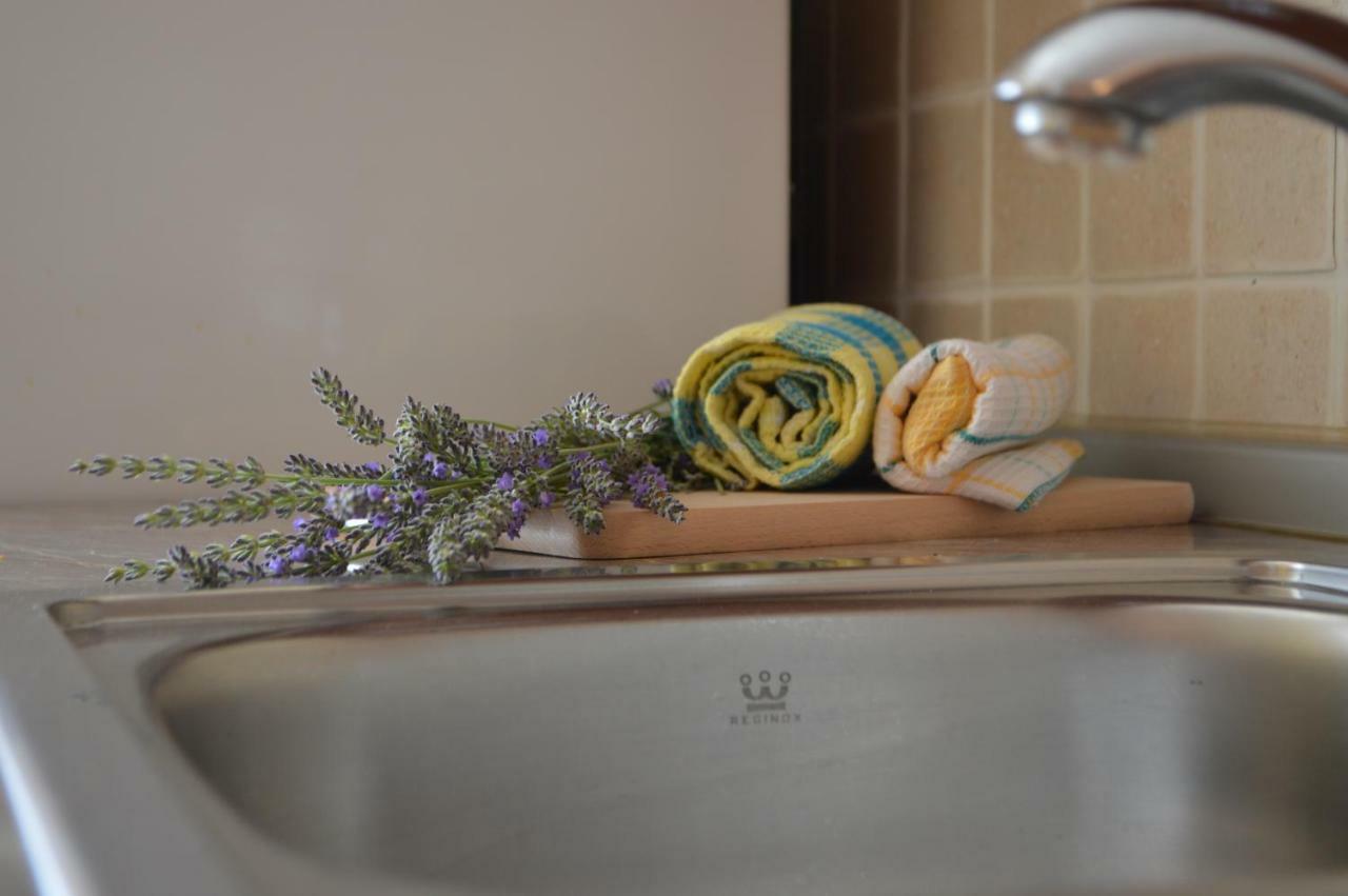 Apartament Apartman Lucija Pridraga Zewnętrze zdjęcie