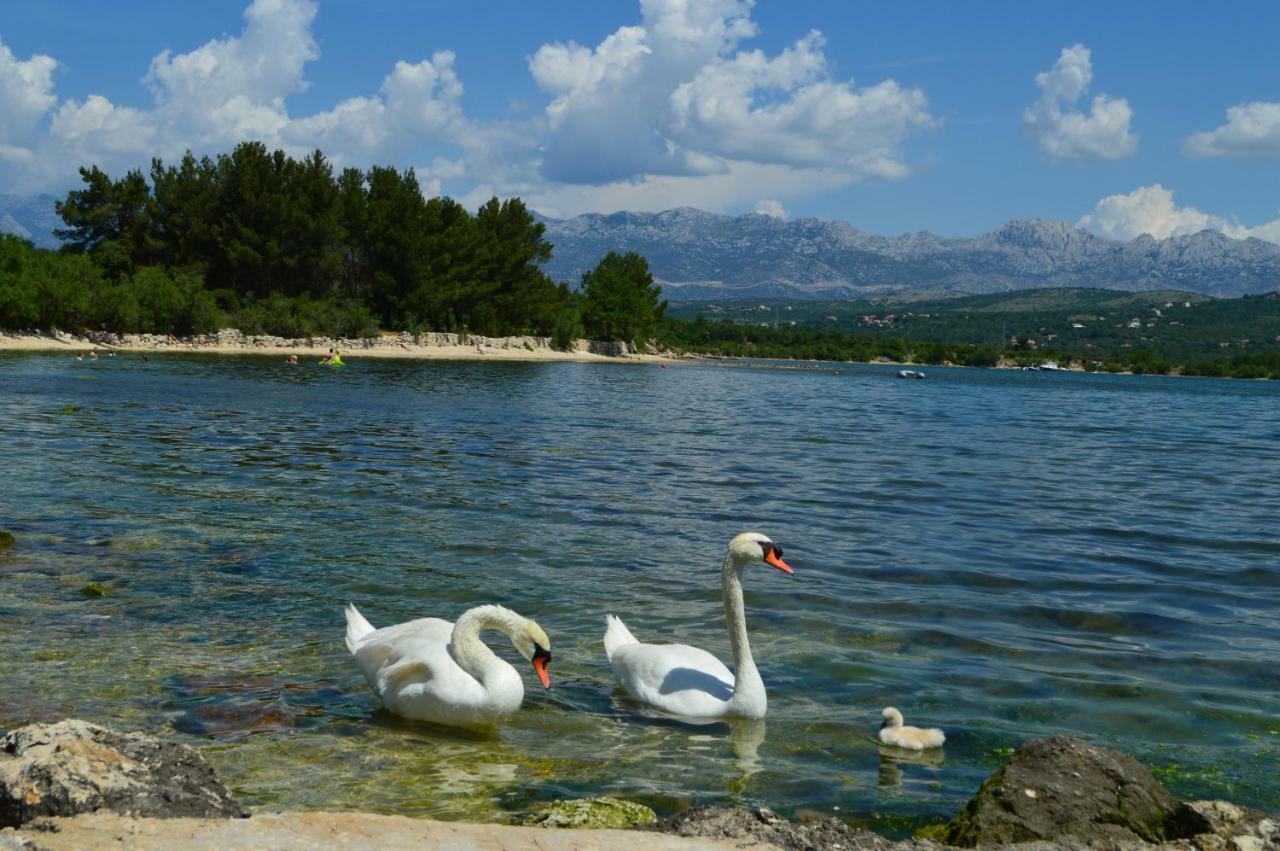 Apartament Apartman Lucija Pridraga Zewnętrze zdjęcie